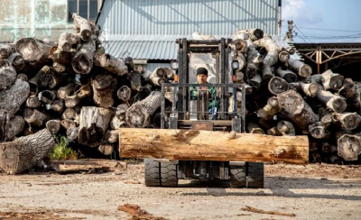 Последствия реформы: из-за запрета на экспорт кругляка китайцы перебираются в Россию