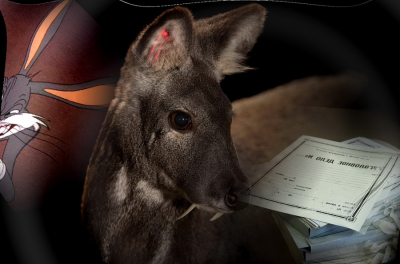 Должники готовы на все: провокация окончилась уголовным делом