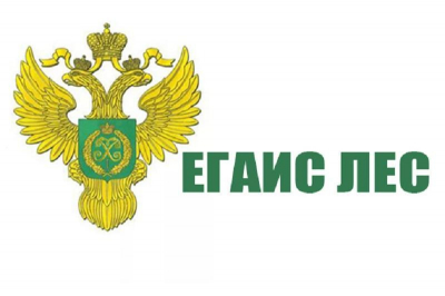 Реформа ЛесЕГАИС: гладко было на бумаге…